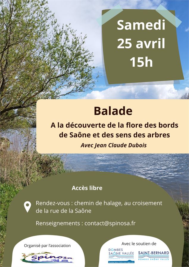 Balade botanique en bords de Saône - Spinosa
