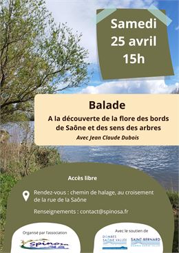 Balade botanique en bords de Saône - Spinosa
