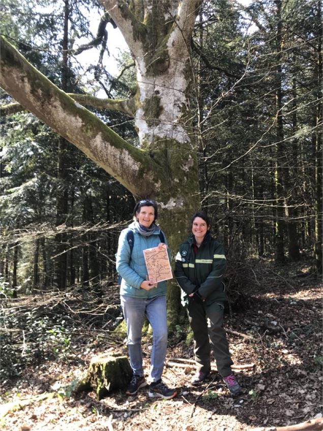 jeu de piste en forêt - APICY