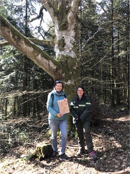 jeu de piste en forêt - APICY