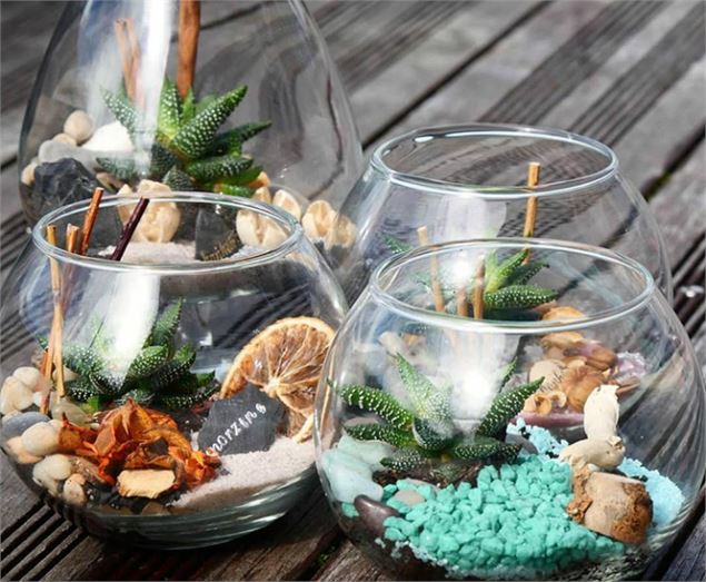 terrarium 1 - Office de tourisme