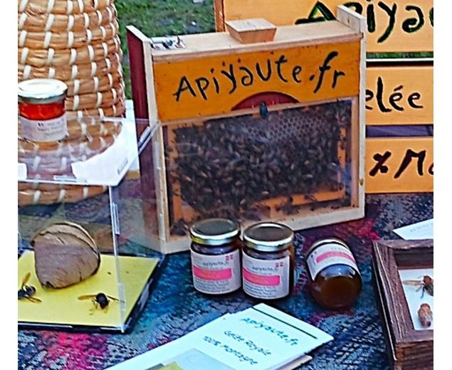 Il était une fois les abeilles_Saint-Jean-de-Sixt - Apiyaute
