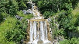 Découverte de la forêt de protection_Bozel - Vallée de Bozel Tourisme