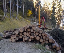 Découverte du débardage par câble_Planay - ONF