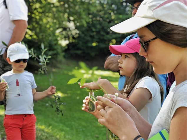 Balade-Jeux : Je découvre la forêt en m'amusant_Morzine