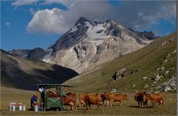 Exposition "Le Pastoralisme en Vanoise"_Val-Cenis - PNV-Michel BOUCHE