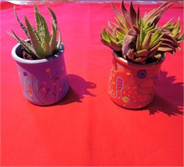 Atelier créatif : Décoration de pots en terre pour accueillir un petit cactus