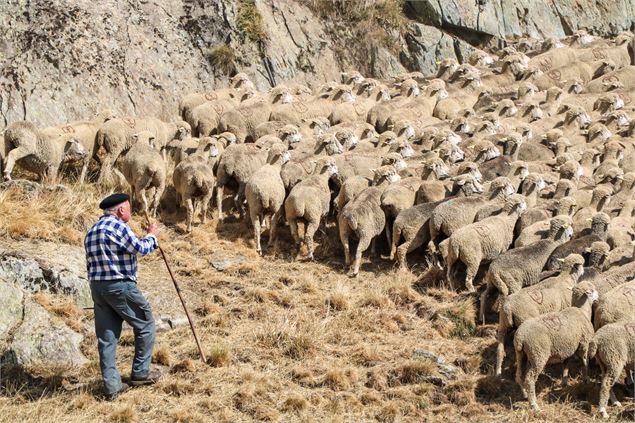 Fête du mouton 2022 Col de la Croix de Fer - Valentine Bellot Mauroz