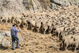 Fête du mouton 2022 Col de la Croix de Fer - Valentine Bellot Mauroz
