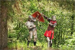 chevalier en armure combattant dans un parc - Image de bearfotos