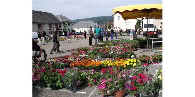 Marché aux fleurs à Hotonnes_Haut Valromey - Catherine Rivière