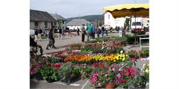 Marché aux fleurs à Hotonnes_Haut Valromey - Catherine Rivière