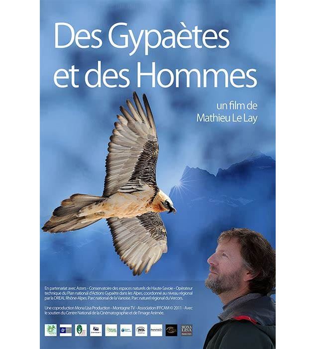 affiche du film - PNV