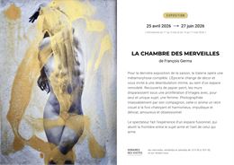 Exposition La Chambre des Merveilles - Vincent Heliès