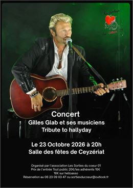CONCERT TRIBUTE TO HALLYDAY