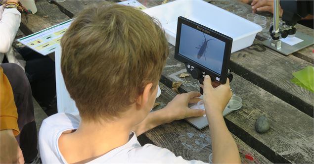 Un enfant entrain d'obersver un insecte au microscope - La Turbine sciences