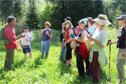 Comprendre et utiliser les plantes_Bernex - Comprendre et utiliser les plantes_Bernex