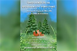 A la découverte de la biodiversité forestière _Thônes - CFMM