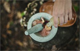 Atelier - Plantes magiques_Ambronay - Unsplash