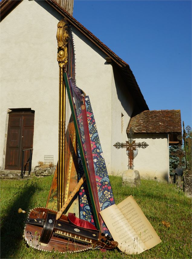 Photo harpe  - Fearghal McCartan