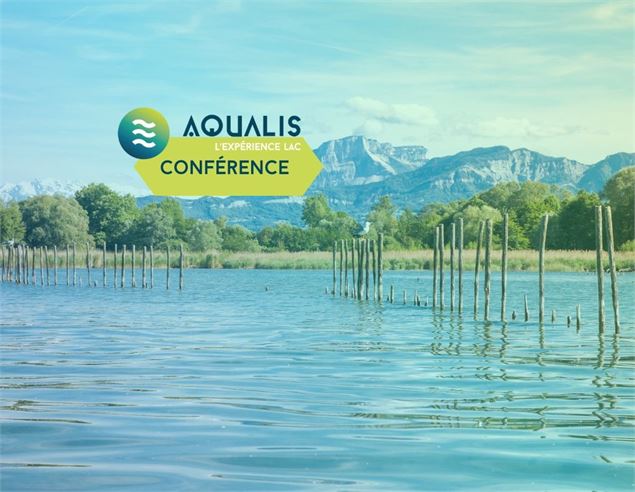 Moustiques et zones humides, entre idées reçues et réalité - Aqualis