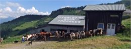 Auberge du Lys Blanc - Praz de lys Sommand Tourisme
