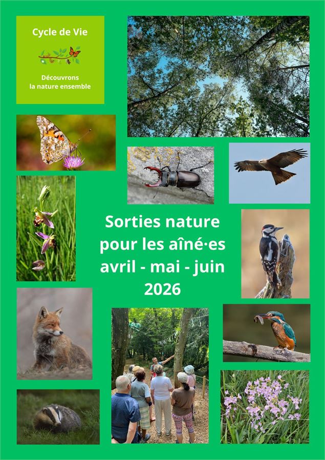 Le printemps des oiseaux: chants, reproduction et migration - David McCrae