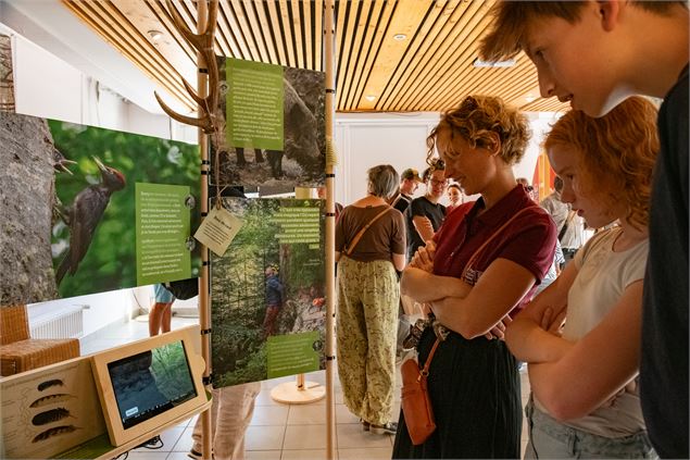 Exposition : Entre les branches, à l'affût des émotions partagées en forêt - Parc Naturel Régional d