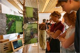 Exposition : Entre les branches, à l'affût des émotions partagées en forêt - Parc Naturel Régional d