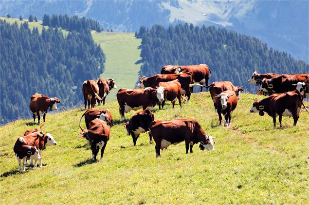 Fête de la Montée en Alpage - Freepik