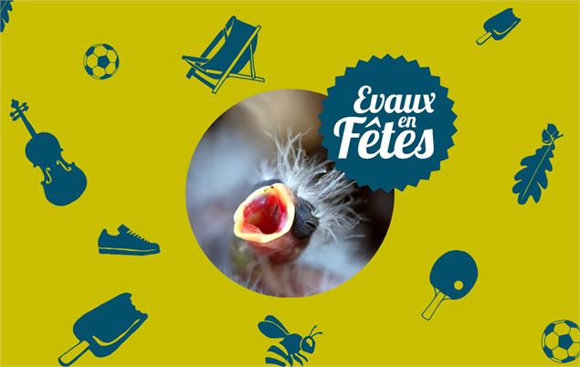 Soins aux oisillons tombés du nid - Fondation des Evaux