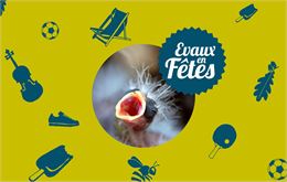 Soins aux oisillons tombés du nid - Fondation des Evaux