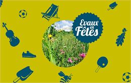 Balade naturaliste et observation d'oiseaux - Fondation des Evaux