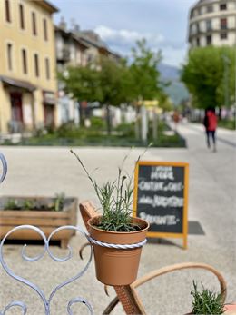 terrasse de l'Atelier Maga - @AtelierMaga