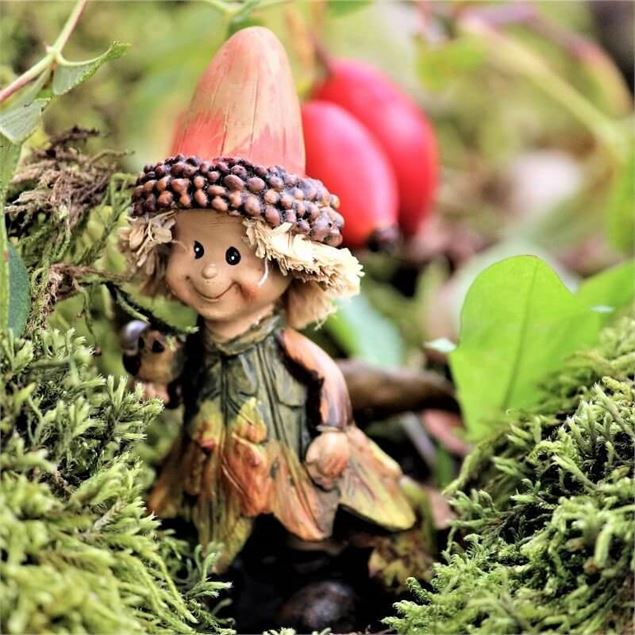 Balade contée : Petits secrets d'une grande forêt - GrumpyBeere