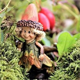 Balade contée : Petits secrets d'une grande forêt - GrumpyBeere