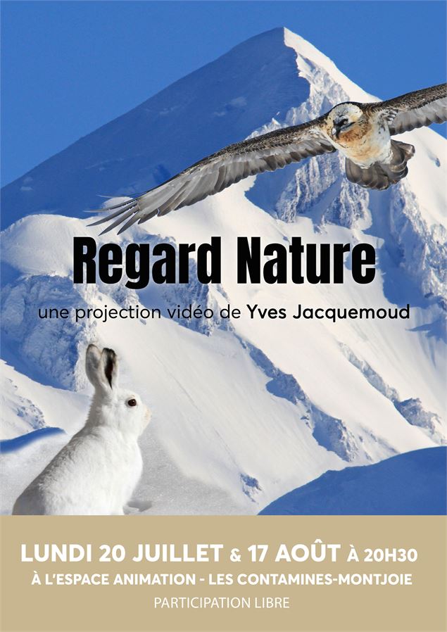 Projection du film 