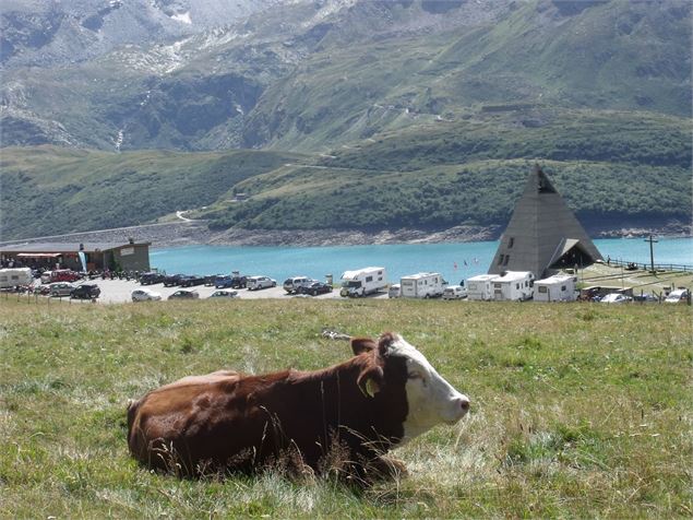 Col du Mont-Cenis - © D. Dereani - Fondation Facim