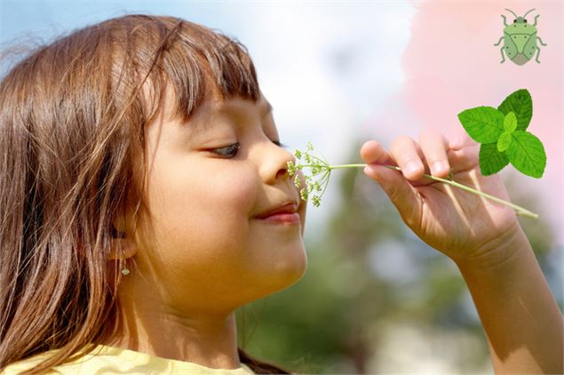 Atelier 4-7 ans au marais de lavours : 