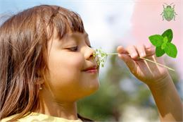 Atelier 4-7 ans au marais de lavours : "Drôles d'odeurs"_Ceyzérieu - Atelier 4-7 ans au marais de la