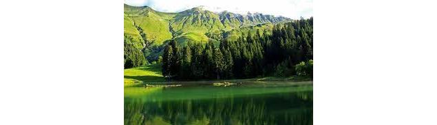 Peche Morzine - Office de tourisme