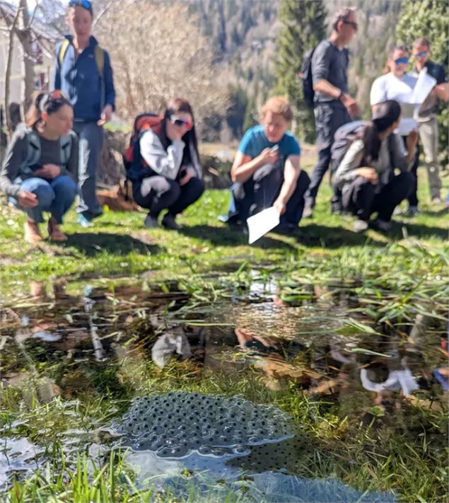 Sortie terrain CREA : Le Printemps au Sommet