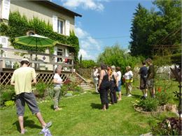 photo syntropie 1  - Meiyna Vernet - Jardins Vivants