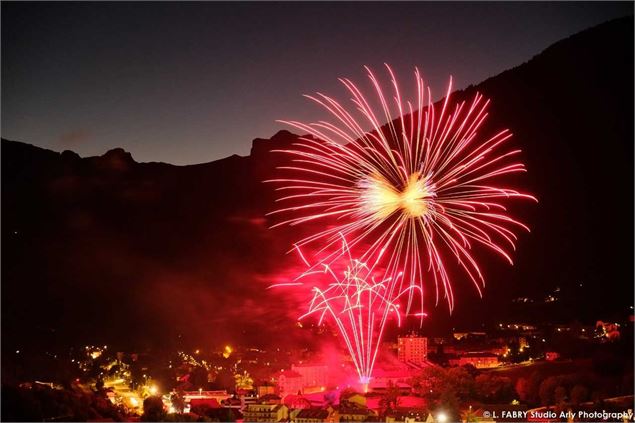 Sectacle pyrotechnique - Laurent Fabry - photographe
