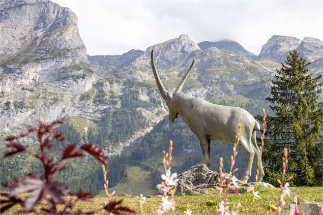 Visite guidée : balade gourmande de  Pralo_Pralognan-la-Vanoise