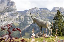 Visite guidée : balade gourmande de  Pralo_Pralognan-la-Vanoise