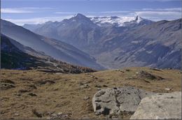 CONFÉRENCE : Les gravures rupestres de la vallée de la Maurienne, un riche patrimoine archéologique 