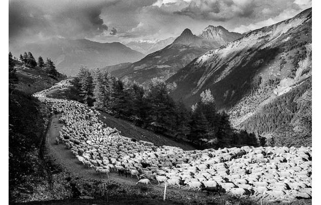 CONFÉRENCE-DIAPORAMA : Pastoralisme et art rupestre dans les Alpes_Fourneaux - Emmanuel Breteau