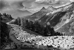 CONFÉRENCE-DIAPORAMA : Pastoralisme et art rupestre dans les Alpes_Fourneaux - Emmanuel Breteau