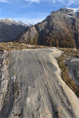 CONFÉRENCE : Nouveau regard sur les roches gravées de Savoie_Bessans - Pierre-Jérôme Rey